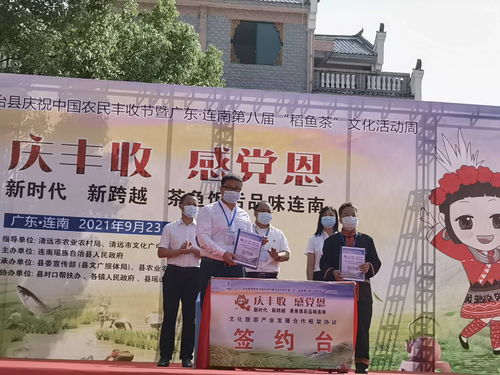 連南第八屆稻魚(yú)茶文化活動(dòng)周盛大開(kāi)幕，推動(dòng)文化藝術(shù)交流新篇章